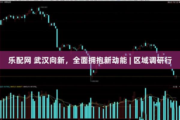 乐配网 武汉向新，全面拥抱新动能 | 区域调研行