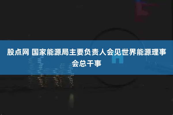 股点网 国家能源局主要负责人会见世界能源理事会总干事