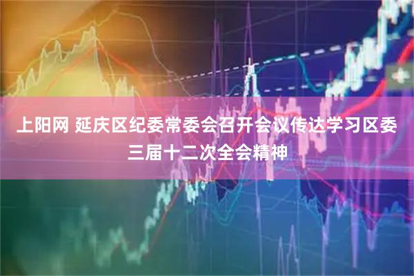 上阳网 延庆区纪委常委会召开会议传达学习区委三届十二次全会精神