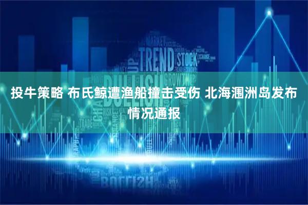 投牛策略 布氏鲸遭渔船撞击受伤 北海涠洲岛发布情况通报